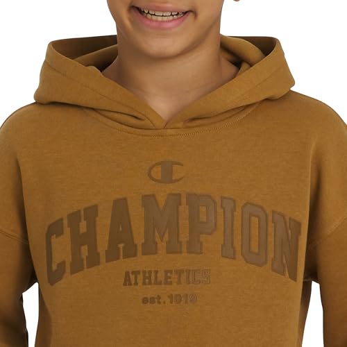 Image of Champion boys Graphic Hoodie Pullover Sweatshirt for Kids With Stylish Embellishments