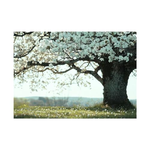 Tableau decoration murale WODJEM 70x90cm image paysage pour salon