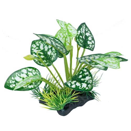 MRTIOO Reptile Artificial Plants, Terrarium Plants Decorations Supplies, Amphibian Habitat Hideout Tank Accessories, Rainforest Ground Plant (E)
