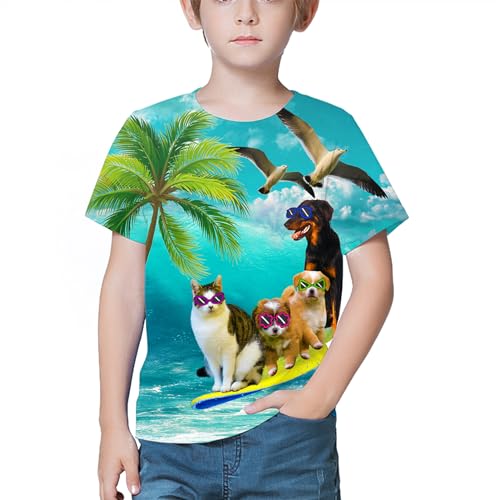 Image of LAIDIPAS Boys Girls 3D Graphic T-Shirt Short Sleeve Tops Tees 6-16 Years