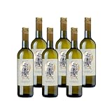 Bischoffinger Winzer eG