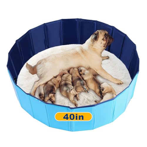 FLKQC Whelping Pen for Dogs Foldable Birthing Pool for Dogs Whelping Box for Dogs and Puppies Poartable Plastic Swimming Pool & Bath Tub (Blue) (39.4 Dia. 11.8 H (100cm 30cm))