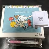 AIR DO2025初日の出フライト お土産 セット VIKKV