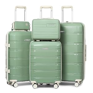 Joyway Luggage 5 Piece Sets， Lightweight Rolling Hardside Travel Luggage with TSA Lock，Luggage Set Clearance，Suitcase with Spinner Wheels for Women