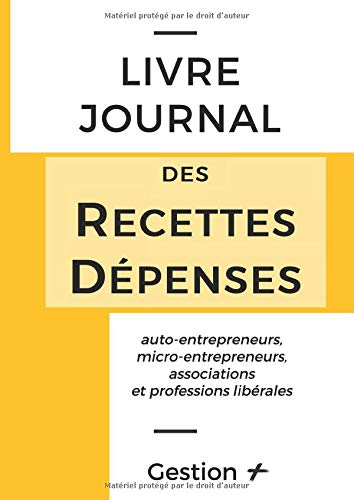 Livre Journal des Recettes-Dépenses: auto-entrepreneurs, micro-entrepreneurs, associations et profe