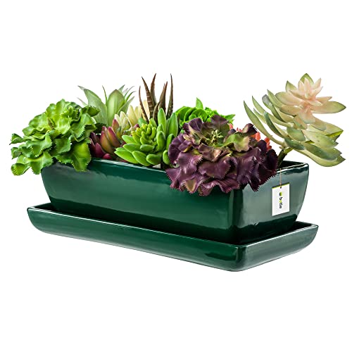 botle Blumentopf Blumenübertopf Dunkel grün Kaktenschale mit Untersetzer Rechteck LxBxH 15 cm x 29 cm x 9 cm Oberfläche Glanz Kakten Keramik Modern Glamour