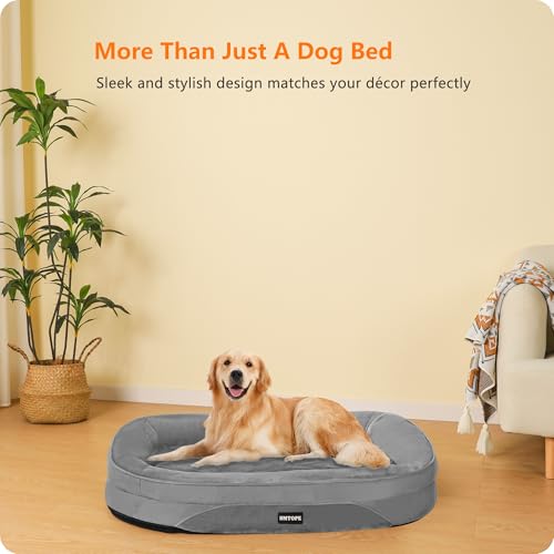 HMTOPE Orthopädisches Hundebett, Hundesofa, Vierseitiges Nackenrolle Kissen, rutschfeste Unterseite Hundekorb, Abnehmbar und Waschbar, Mittelgroße Hunde, Grosse Hunde, 106 x 79 x 17 cm, Mittelgrau