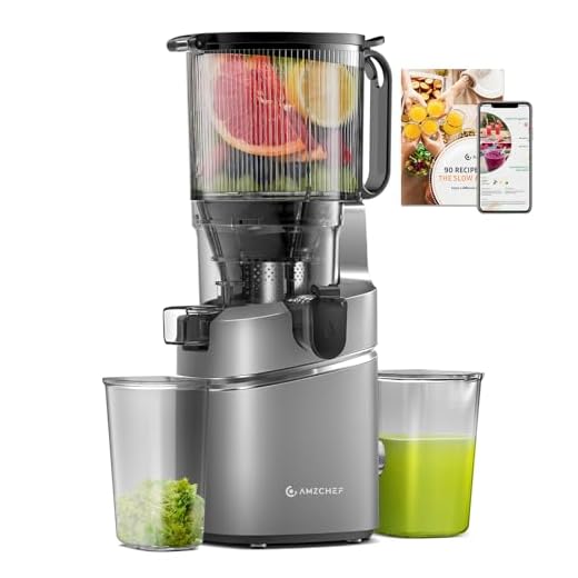 AMZCHEF Juicer Machines, 5.8" Extra Self-Feeding Cold Press Juicer for Whole Vegetable & Fruit, Juice Extractor Machine with Large Auger & Triple Strainers, Easy to Clean, High Juice Yield, Grey