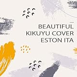 beautifier json javascript  Beautifier
