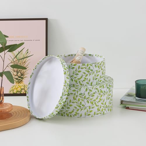 Soul & Lane Decorative Cardboard Storage Boxes With Lids, Lovely Leaves thumb #5
