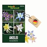 Akelei Mrs. Scott Elliot Mix Samen - Aquilegia x hybrida - Akeleisamen - Blumensamen - Saatgut für 150 Pflanzen