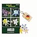Akelei Mrs. Scott Elliot Mix Samen - Aquilegia x hybrida - Akeleisamen - Blumensamen - Saatgut für 150 Pflanzen