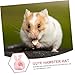 BESPORTBLE Comfortable Animal Hat for Pets Adorable Hamster Chinchilla Headgear for Halloween Parties Design Festive Costume Accessory