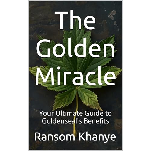 The Golden Miracle Audiolibro Por Ransom Khanye arte de portada