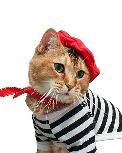 Aristocat Hats French Cat Outfit Costume For Cats thumb #1