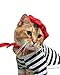 French Cat Outfit Costume for cats - handmade (Large)