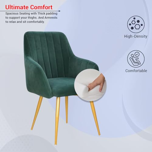 Image of Taboo Velvet Accent Chair with Armrests | Upholstered Luxury Lounge Dining Arm Chair | Soft Cushioned Seat with Backrest | Modern Velvet Chair with Gold Metal Legs for Living Room & Bedroom | Green