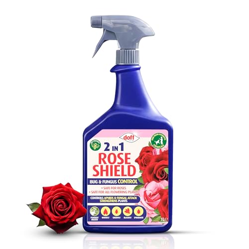 Quebec Rose Shield Ultra Spray 2 in 1 Rose Shield Bug & Fungus Control Pesticide Free with Added Feed for Strong Growth 1 Litre Ready to Use Spray