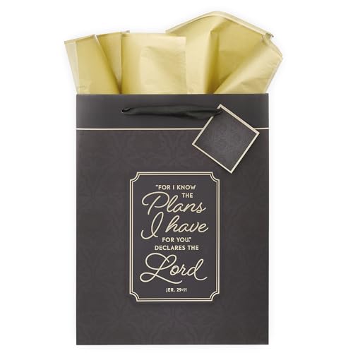 Image of Christian Art Gifts Large Gift Bag with Tissue, Know the Plans, Charcoal