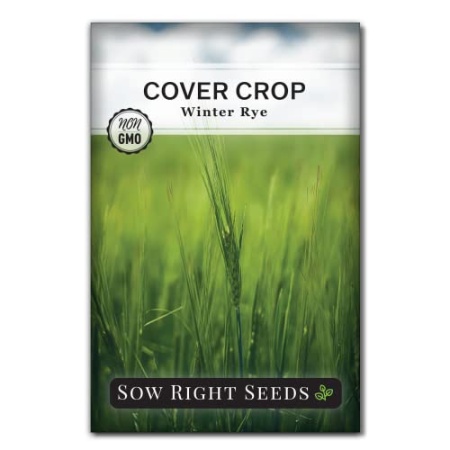 Sow Right Seeds - Winter Rye Seed for Planting - Cover Crops to Plant in Your Home Vegetable Garden...