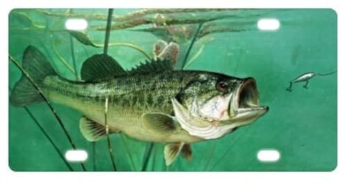 Bass Fish Jumping Hook Novelty License Plate Decorative Front Plate 6" X 12"