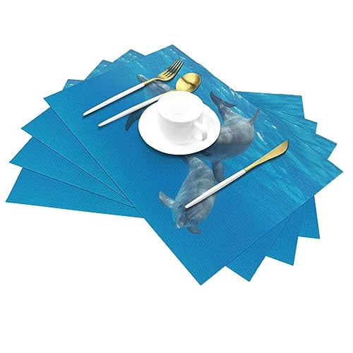 Ensemble de sets de table tissés décoratifs et durables pour une table élégante