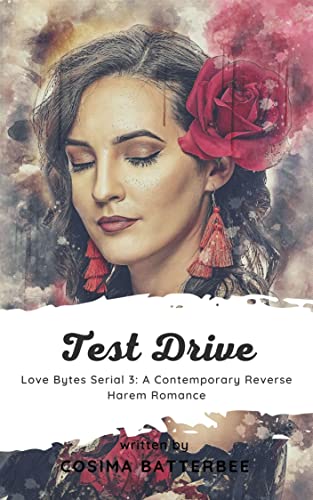  Test Drive: Love Bytes Serial 3: A Contemporary Reverse Harem Romance (English Edition)