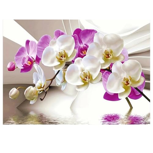 DCIDBEI Pintura de Diamante Orquídeas 40x30 cm Pintura por Números Orquídea Diamond Painting Orquídeas Artificiales Grandes Kit de Bordado de Diamantes 5D Punto de Cruz Mosaico para Adultos Flores
