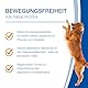 NutriLabs Canidex Gelenktabletten für Hunde 250 Stk. - mit MSM, Hyaluronsäure, Glucosamin, uvm. - Gesundheitsprodukte für Hunde - Nahrungsergänzungsmittel Hund - Teufelskralle-Hund