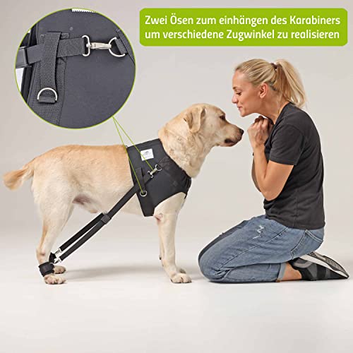 Nature Pet Hundeexpander & Rehageschirr für Hunde – Flexipander zur Rehabilitation, Mobilitätshilfe & sanften Unterstützung L