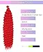 Cypsin Red Curly Crochet Hair 30Inch 2 Packs Deep Wave Crochet Hair with Crochet Hook, Long Ocean Wave Braiding Hair for Women, Synthetic Hair Curly Braiding Hair Extensions