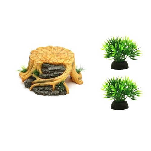Plateforme pour aquarium stable pour éviter les chutes de vos reptiles