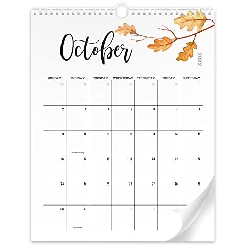 Aesthetic Floral Wall Calendar - Runs from June 2022 Until December 2023 - The Perfect Monthly Calendar With Seasonal Designs for Easy Planning Cover
