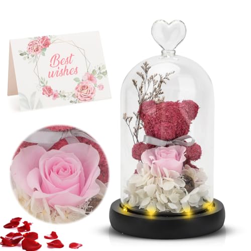 Gohytal Oso de Rosa Perenne en Tarro, Regalo de Cumpleaños para Mujer Rosa Perenne en Tarro con Perlas, Oso de Peluche para Mamá Abuela Novia para Navidad San Valentín Rosa