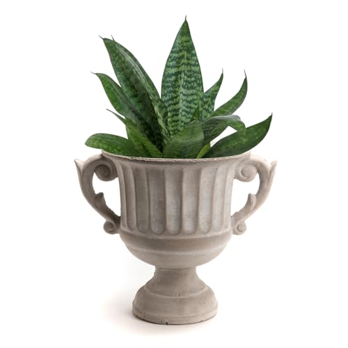 Image of Medici Urn Planter Flower Pot Indoor/Outdoor Concrete Grey Vintage Style Baroque French Country Footed Flower Pots with Ornate Scrolled Handles Traditional Garden Decor (Large)
