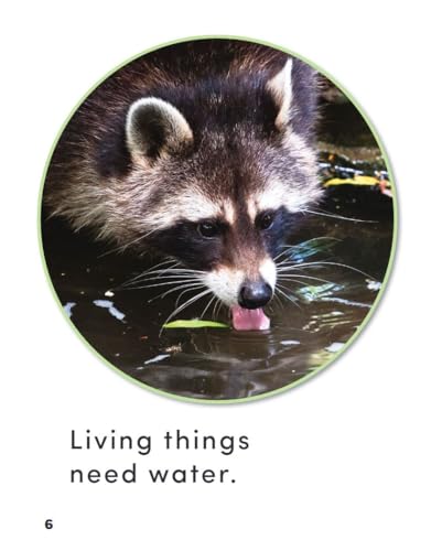 What Do Living Things Need?