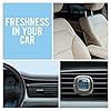 Febreze Car Clip Air Freshener, Odour Eliminator, Blossom & Breeze, 6 Count #3