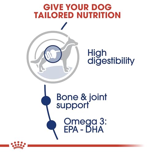 Royal Canin Maxi Adult