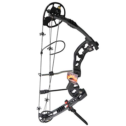 Sharrow 30 70lbs調節可能 アーチェリーコンパウンドボウセット 複合弓 アーチェリー弓矢セット 狩猟弓 弓矢 魚釣り 弓道練習専用弓 節約力の割合 70 75 黒い弓 Hobbies 遊技機器 Whenbuy Jchere Com