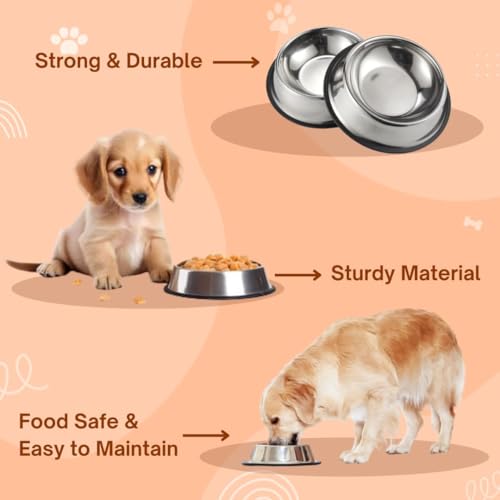Image of Anti-Skid Stainless Steel Dog Bowl (850 ML) & Thin Slicker Brush Combo | Scratch-Proof Feeding Bowl | Self-Cleaning Grooming Brush for Shedding | Ideal for Dogs, Puppies, Cats & Kittens