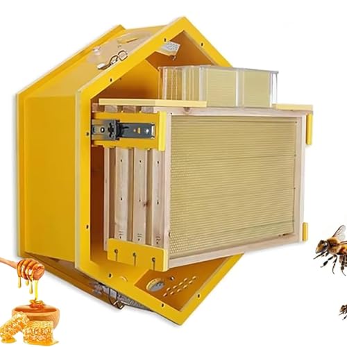 Kit de démarrage d'apiculture hexagonal ruche murale avec fenêtres en acrylique - 2