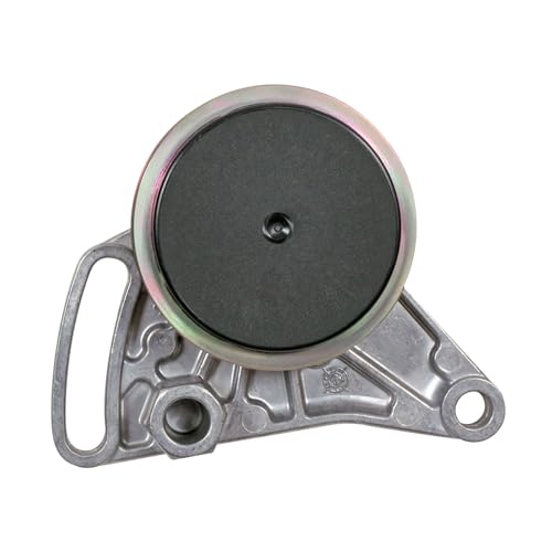 Poulie Accu-Drive 49061 pour stopper les sifflements de courroie