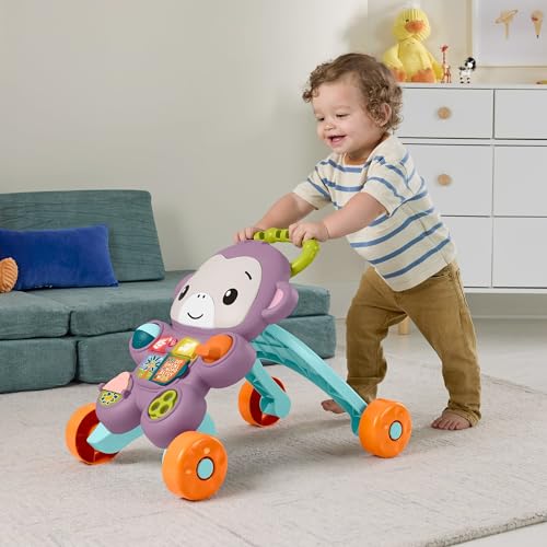 La Mejor Recopilación de Fisher price Top 10. 2 Imagen adicional
