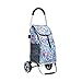GXYAWPJ 2-Rad-Einkaufswagen mit Aluminium-Griffe 40 Liter 4-Modelle (Color : C)
