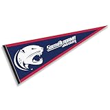 South Alabama Jaguars Pennant Flag