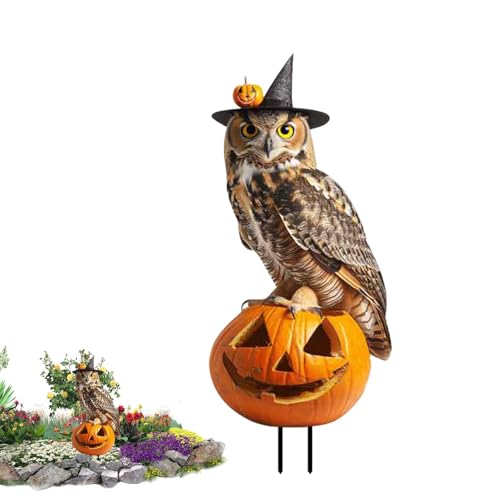 ハロウィンステークスデコレーション - 2Dフラットキャットパンプキンステーク | フクロウの木の杭 鳥のシルエット 動物のサインインサート 屋外装飾 新築祝い用