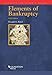 Produktbild Baird, D: Elements of Bankruptcy (Concepts and Insights)