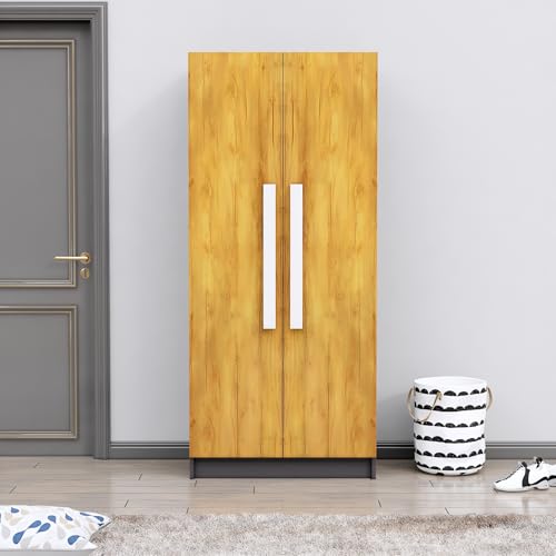 Image of Bniture Wooden Almirah for Clothes, Wardrobe for Bedroom, 2 Door Wardrobe with 4 Shelves Huge Storage Space (46D x 80W x 182H CM) | 3 Year Warranty (Slate Grey & Giant Wood)