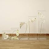 BalsaCircle 5 pcs Clear Acrylic Display Boxes Centerpieces Pedestal Riser Columns - Wedding...
