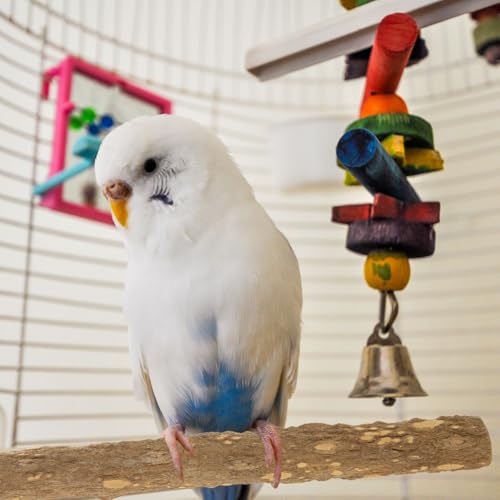 Image of 6PCS Bird Perch Natural Wood Grape Stick Bird Stand, 4 Grape Stick Paw Grinding Fork Parakeet Chewing Stick 2 Parrot Stand Branch